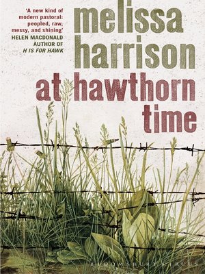 At Hawthorn Time - ebook